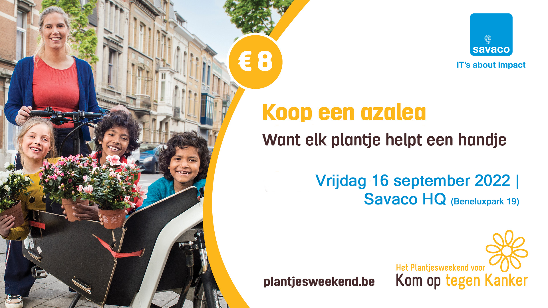 Kom Op Tegen Kanker - koop een azalea aan Savaco's HQ op 16 september 2022