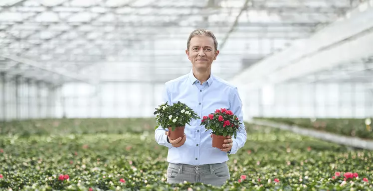 Kom op Tegen Kanker - Frank Deboosere